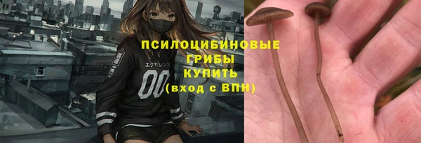 соль ск Аркадак
