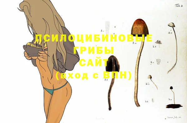 МДПВ Алзамай