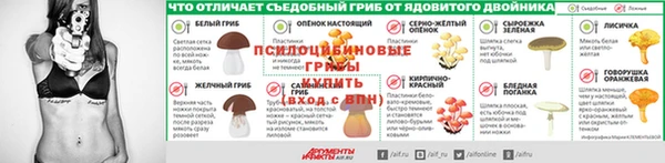 МДПВ Алзамай