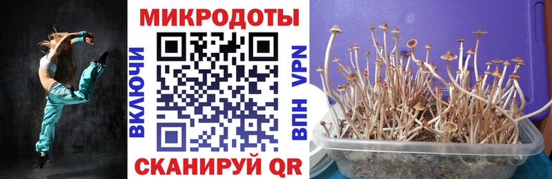 это официальный сайт Рыбное Псилоцибиновые грибы Psilocybine cubensis
